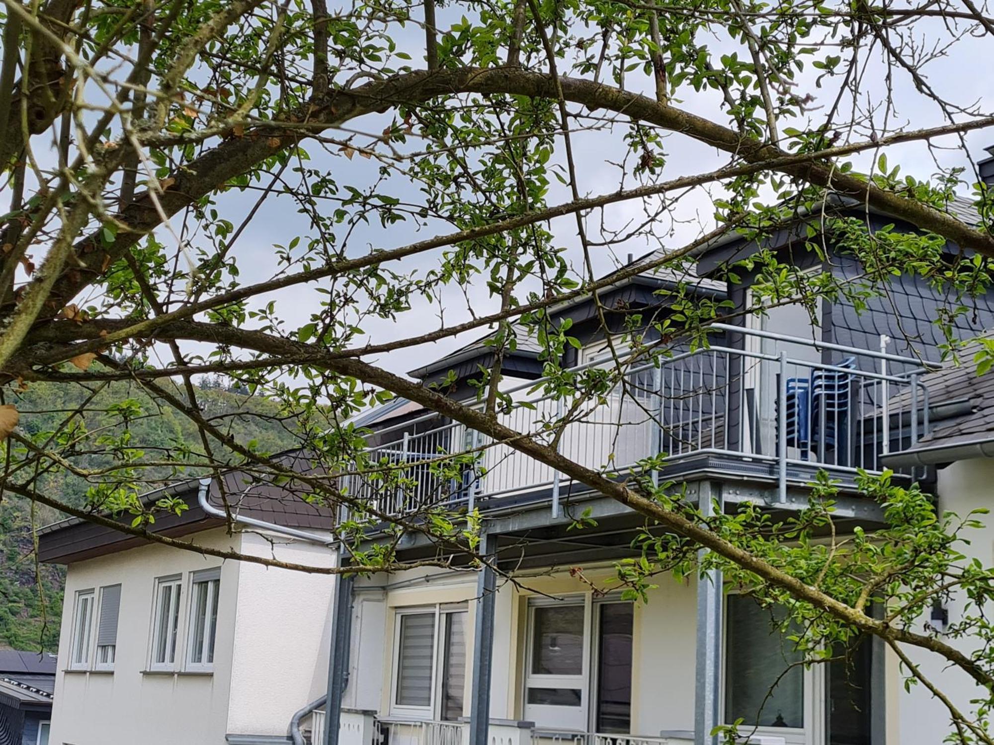 Ferienhaus Am Reilsbach Кохем Екстериор снимка